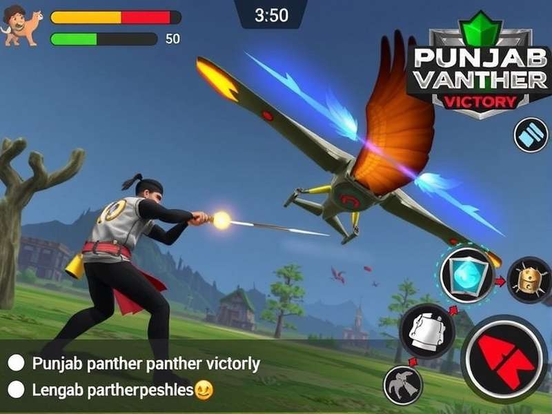 Punjab Panther Victory Community Tournament